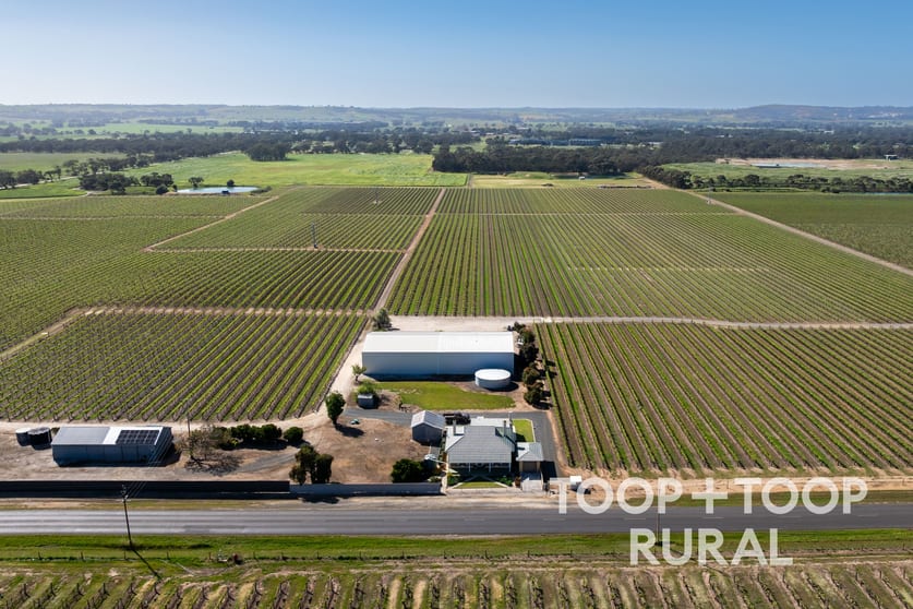 260 Belvidere Road Nuriootpa SA 5355 - Image 1
