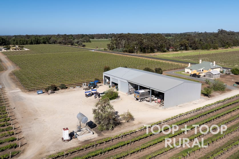260 Belvidere Road Nuriootpa SA 5355 - Image 3