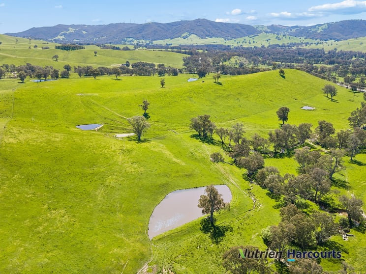 Click to view all images 61 Guymers Road Homewood VIC 3717 - Image 1