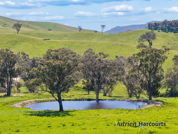 Click to view all images 61 Guymers Road Homewood VIC 3717 - Image 2