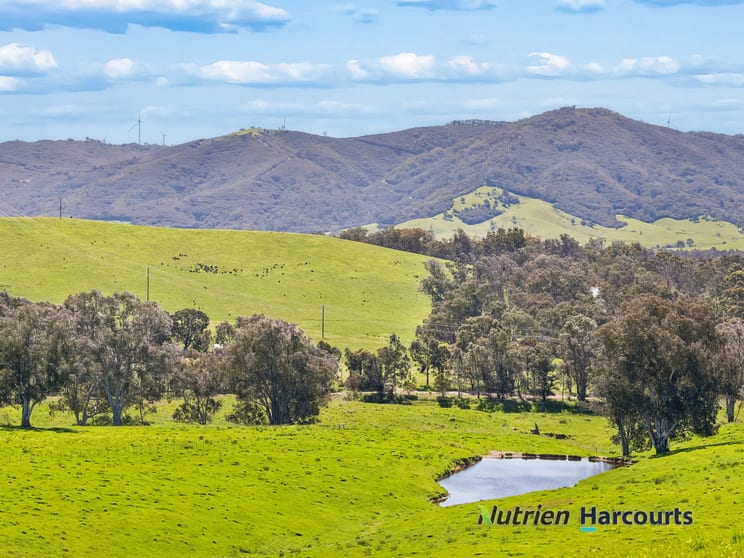 Click to view all images 61 Guymers Road Homewood VIC 3717 - Image 3