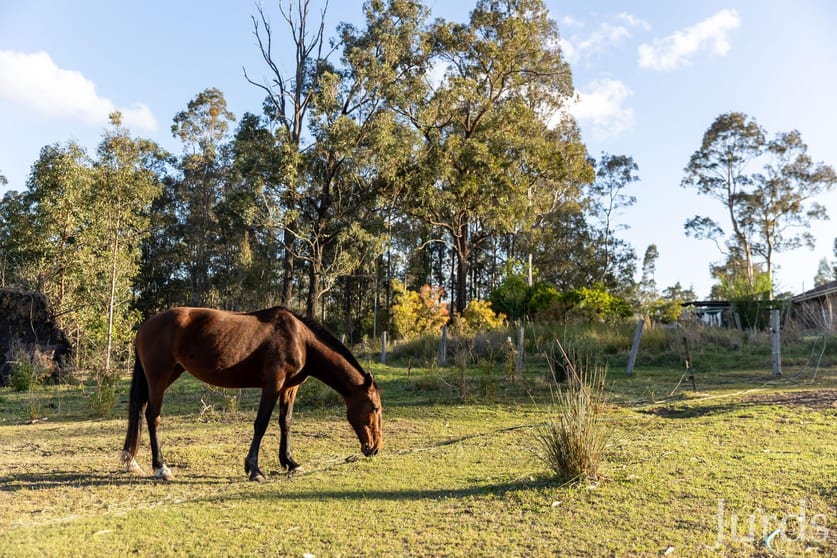 139 Lake Road Elrington NSW 2325 - Image 3