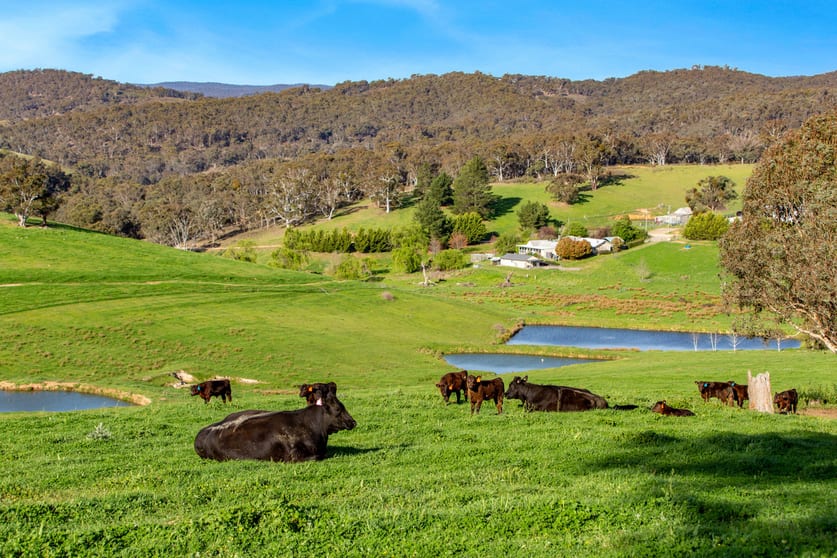 Click to view all images 1975 Kangaloolah Road, Peelwood Crookwell NSW 2583 - Image 1