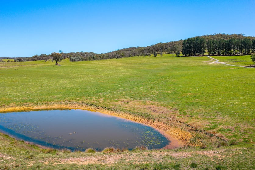 Lot 1 Taralga Road, Tarlo via Goulburn NSW 2580 - Image 3