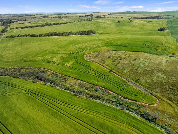 Lot 43 Horrocks Highway Yacka SA 5470 - Image 2