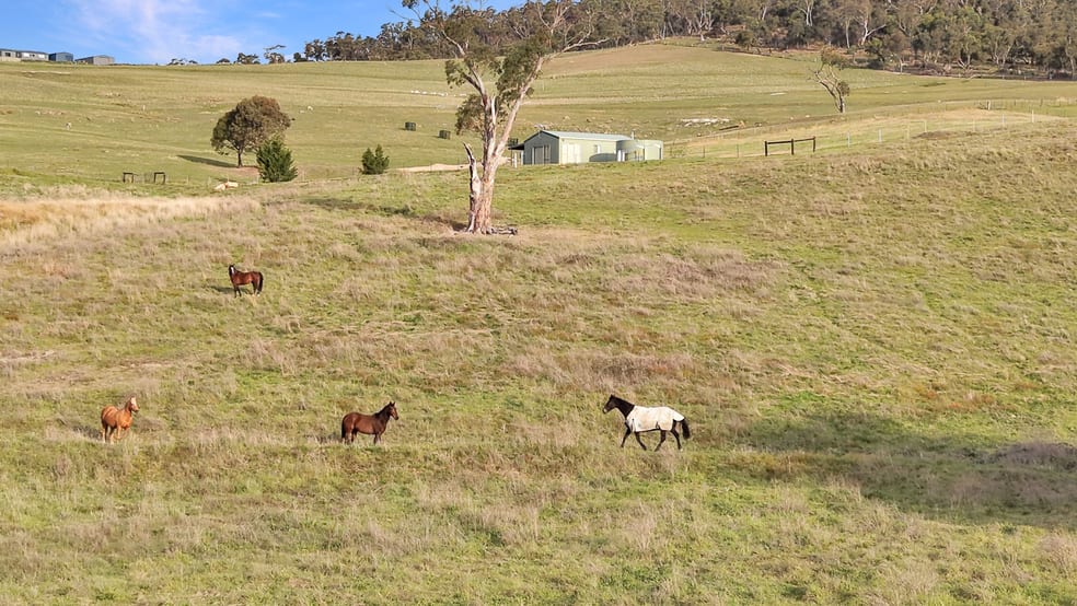 Click to view all images 751 Sodwalls Road Tarana NSW 2787 - Image 3