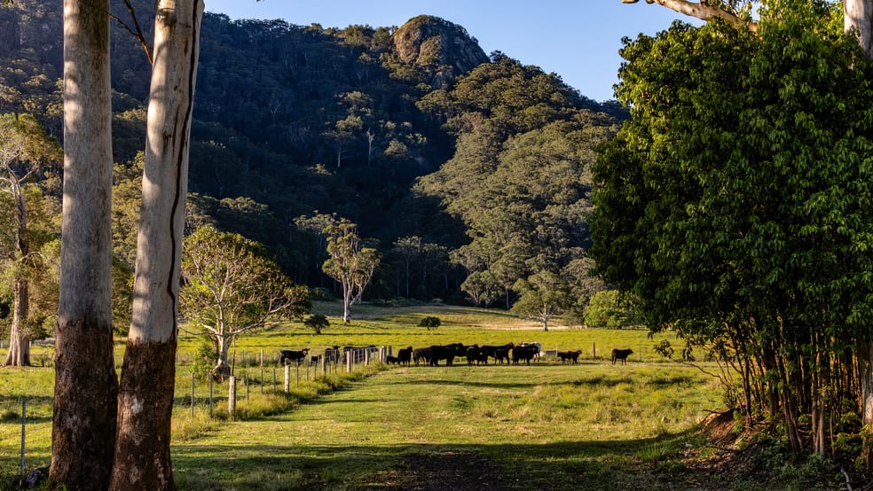 Click to view all images 27 Riddles Brush Road Moorland NSW 2443 - Image 2
