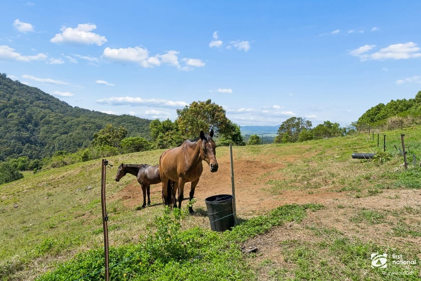 Click to view all images 724 Tomewin Road Tomewin NSW 2484 - Image 2