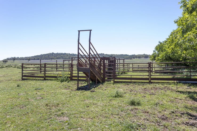 Click to view all images 3 Gooloogong Siding Road Gooloogong NSW 2805 - Image 2