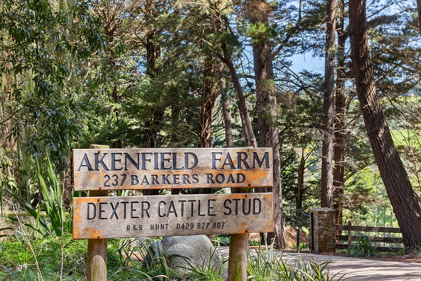 Click to view all images 237 Barkers Road Main Ridge VIC 3928 - Image 1