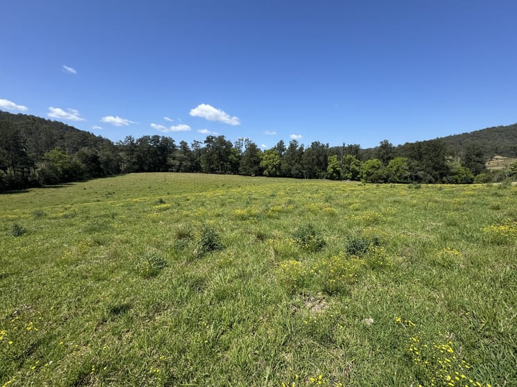 Click to view all images 2569 Bulga Road Bobin NSW 2429 - Image 3