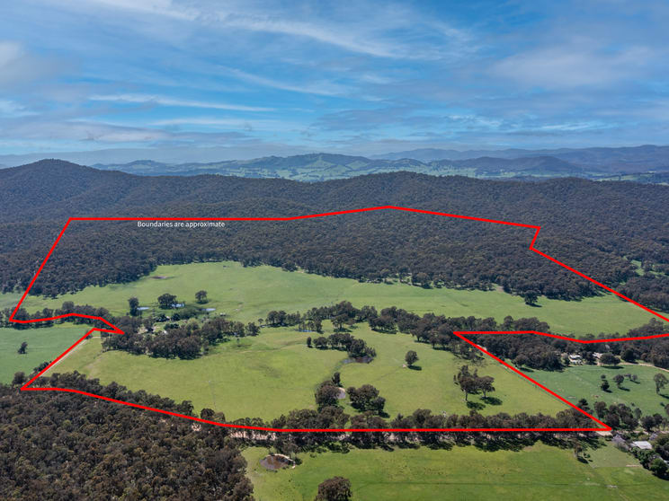 Click to view all images 1129 Moyhu-Meadow Creek Road Meadow Creek VIC 3678 - Image 1