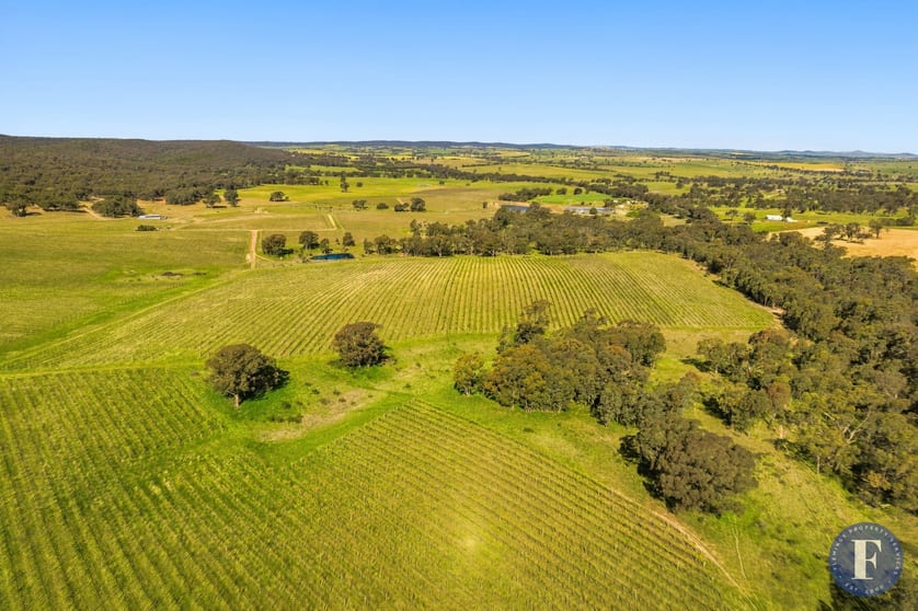 Click to view all images Proposed Lots 1, 4, & 5, Black Range Road Young NSW 2594 - Image 3