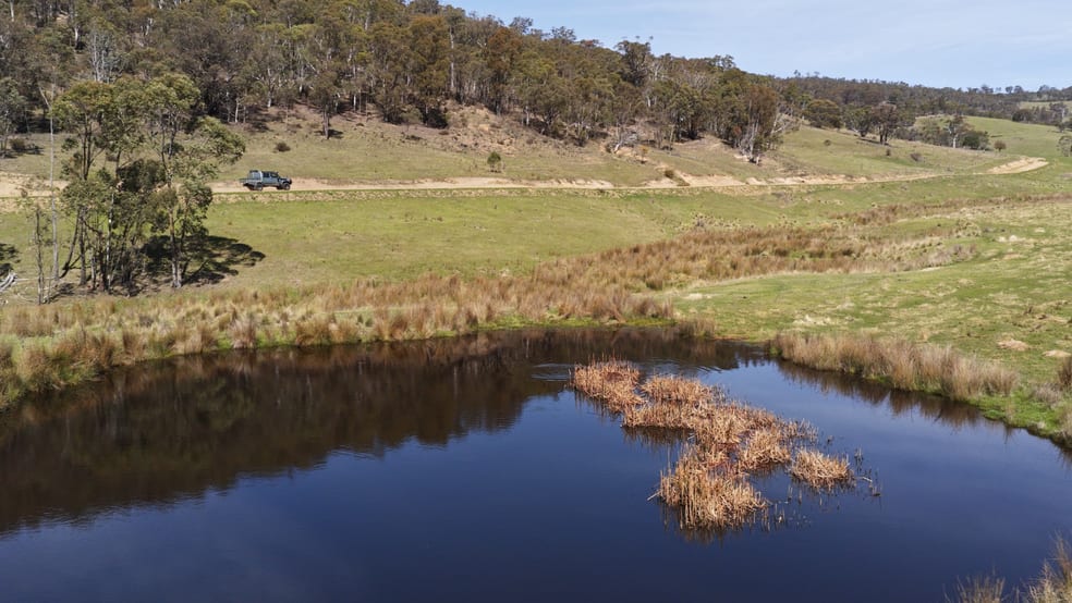 Click to view all images 620 Bingo Tice Road Anglers Rest VIC 3898 - Image 3