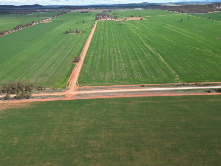 Click to view all images 1100 Jillett Road Ardlethan NSW 2665 - Image 2