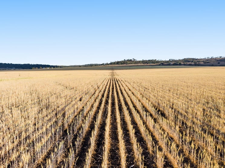 Click to view all images Lot 7 Cronin Road Mount Tyson QLD 4356 - Image 2