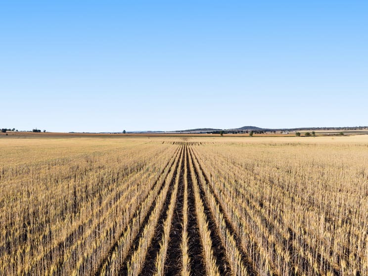 Click to view all images Lot 7 Cronin Road Mount Tyson QLD 4356 - Image 3