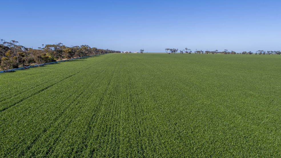 'Rudds' Allotment 81 Ardrossan Road Maitland SA 5573 - Image 1