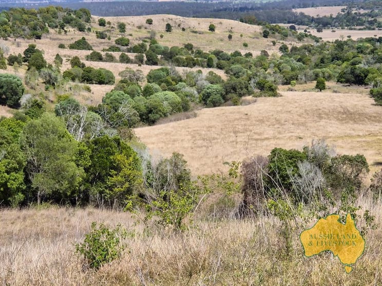 Click to view all images 759 Boat Mountain Road Tablelands QLD 4605 - Image 1