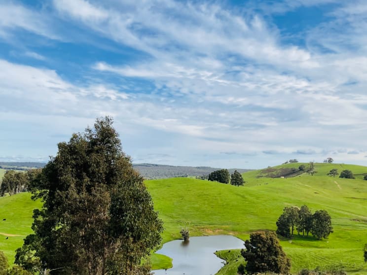 Click to view all images Lot 10 Nieuwenhuyze Road Brazier WA 6251 - Image 2
