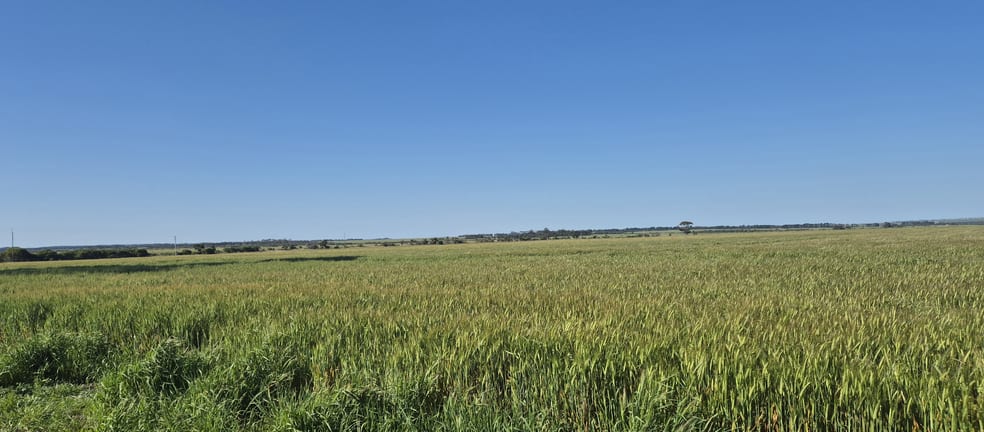 Click to view all images Ratio Downs, Degrussa Road Gibson WA 6448 - Image 3
