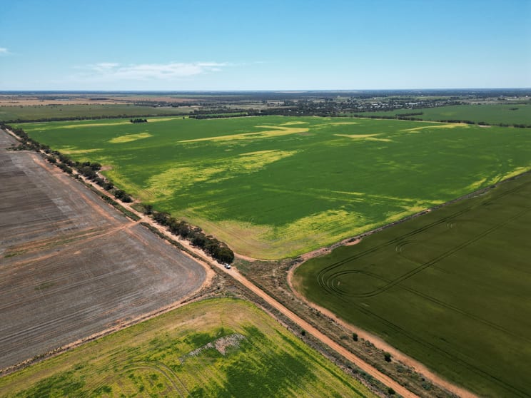 Click to view all images 14 Bodinnar Road Nyah West VIC 3595 - Image 2