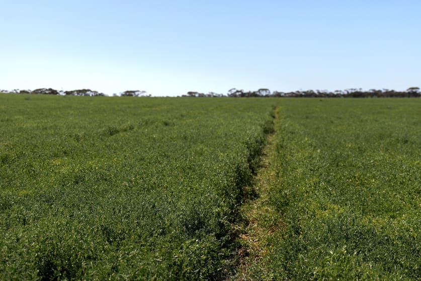 Click to view all images 14 Bodinnar Road Nyah West VIC 3595 - Image 3
