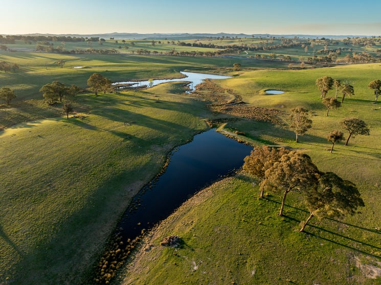 Click to view all images 2097 Mitchell Highway Vittoria NSW 2799 - Image 1