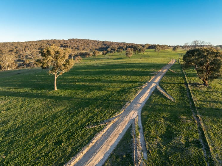 Click to view all images 2097 Mitchell Highway Vittoria NSW 2799 - Image 2