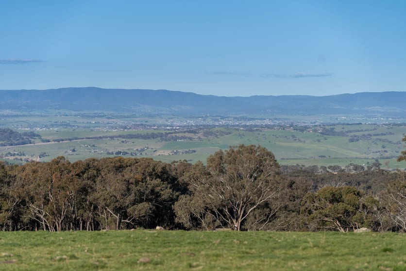 Click to view all images 2097 Mitchell Highway Vittoria NSW 2799 - Image 3