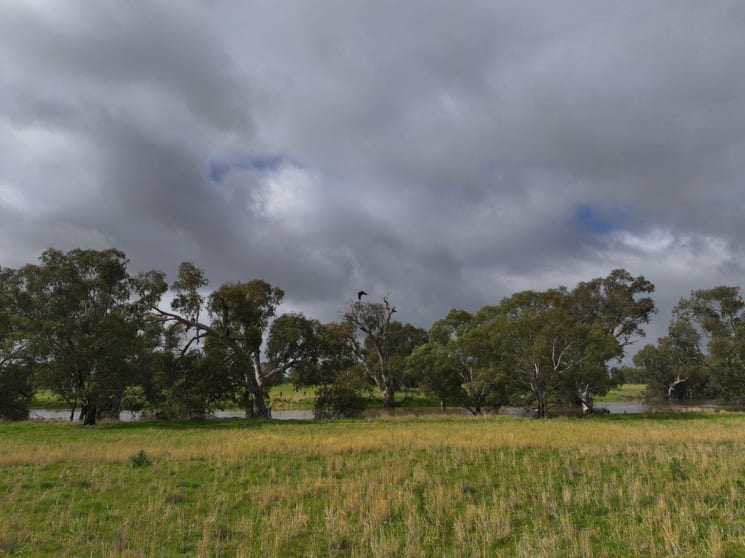 Click to view all images C/A Borung - Prairie Road & Hurstwood School Road Bears Lagoon VIC 3517 - Image 2