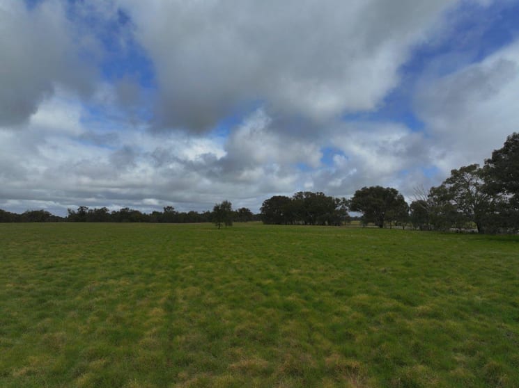 Click to view all images C/A Borung - Prairie Road & Hurstwood School Road Bears Lagoon VIC 3517 - Image 3