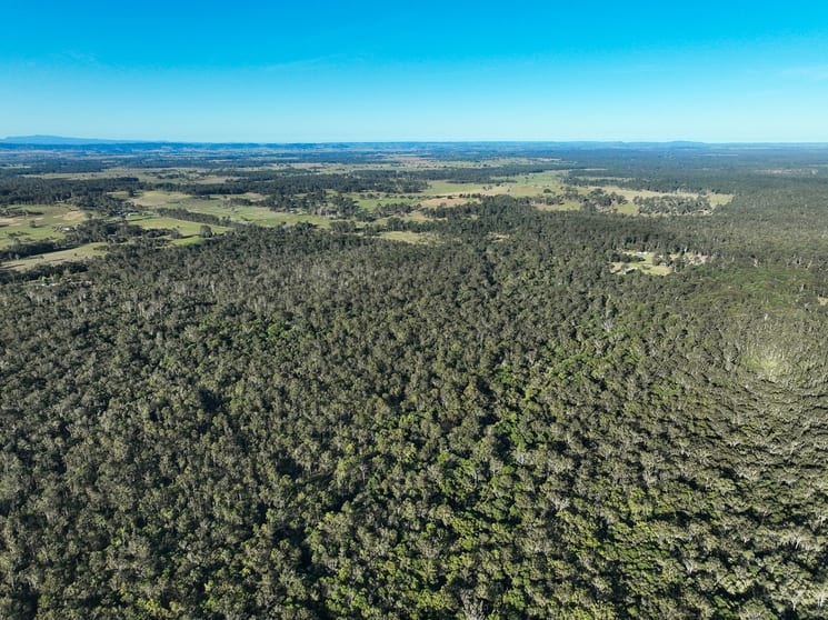 Click to view all images 1050 Ellangowan Road Yorklea NSW 2470 - Image 1