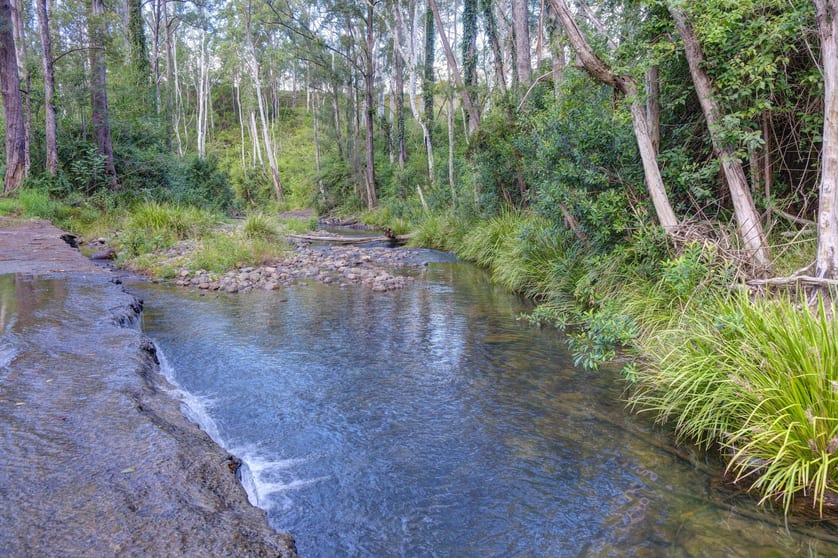 Click to view all images 1020 Caparra Road Caparra NSW 2429 - Image 3