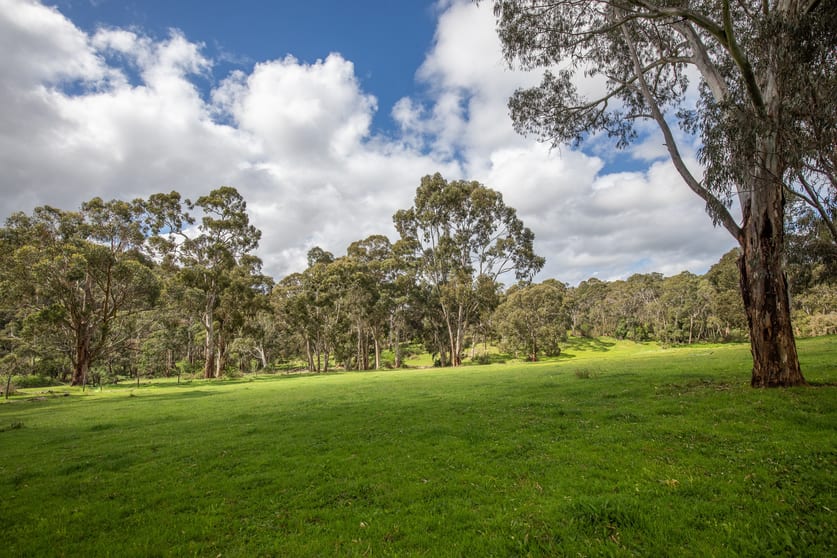 Click to view all images Lot 9 Scott Creek Road Scott Creek SA 5153 - Image 1