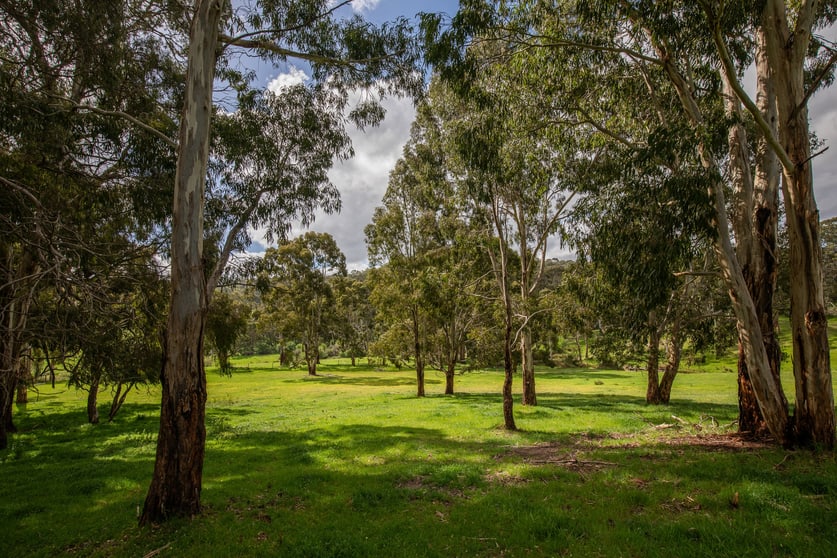 Click to view all images Lot 9 Scott Creek Road Scott Creek SA 5153 - Image 2