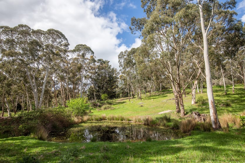Click to view all images Lot 9 Scott Creek Road Scott Creek SA 5153 - Image 3