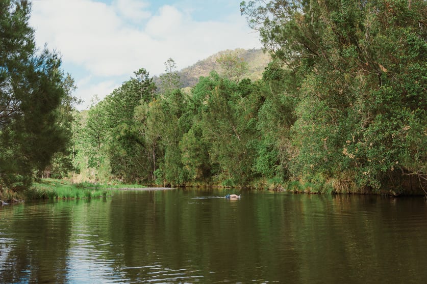 Click to view all images 597 Sarabah Road Sarabah QLD 4275 - Image 3