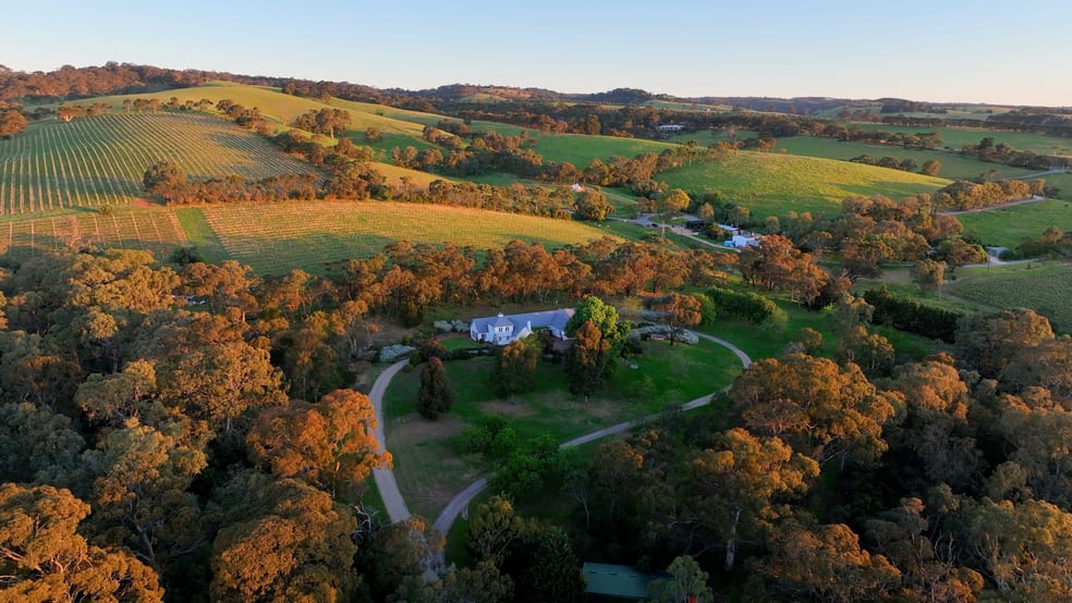 41 Pennys Hill Road Mclaren Vale SA 5171 - Image 1