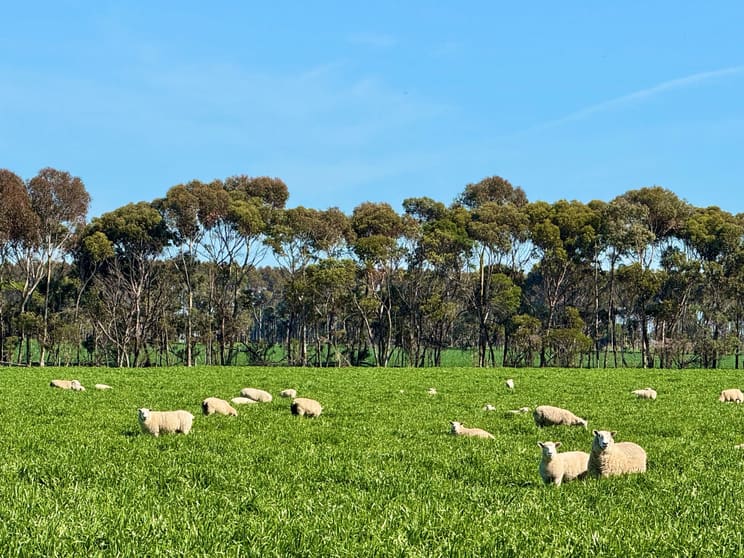 Click to view all images 433 South Road Mortlake VIC 3272 - Image 1