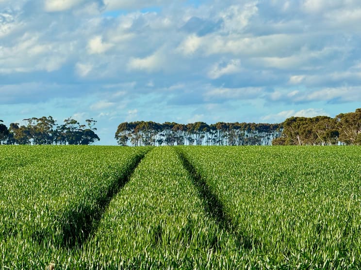 Click to view all images 433 South Road Mortlake VIC 3272 - Image 2