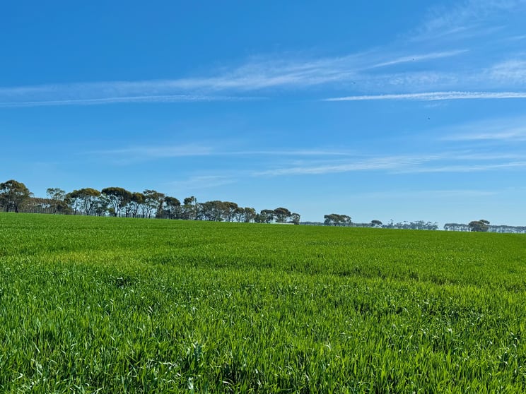 Click to view all images 433 South Road Mortlake VIC 3272 - Image 3