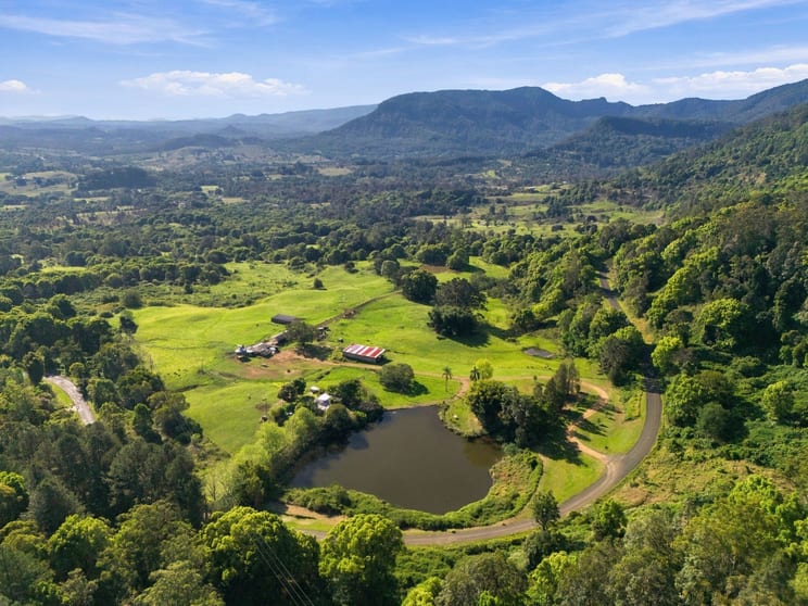Click to view all images 392 TUNTABLE FALLS ROAD Nimbin NSW 2480 - Image 3