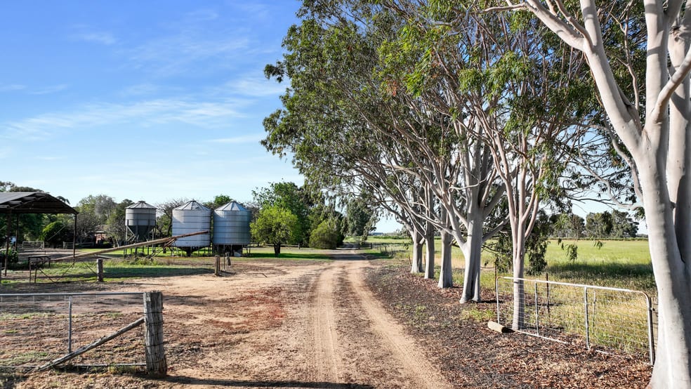 Click to view all images Soli-Hull/313 Flanagans Lane Deniliquin NSW 2710 - Image 3