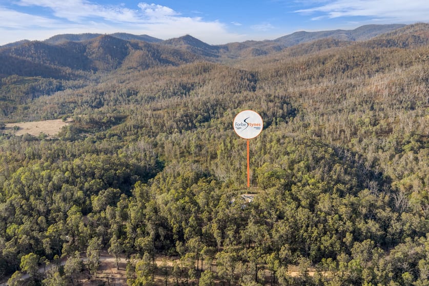 Click to view all images 123 Murrabrine Forest Road Yowrie NSW 2550 - Image 1