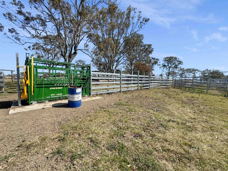 231 Dascombe Road Coalbank QLD 4352 - Image 3