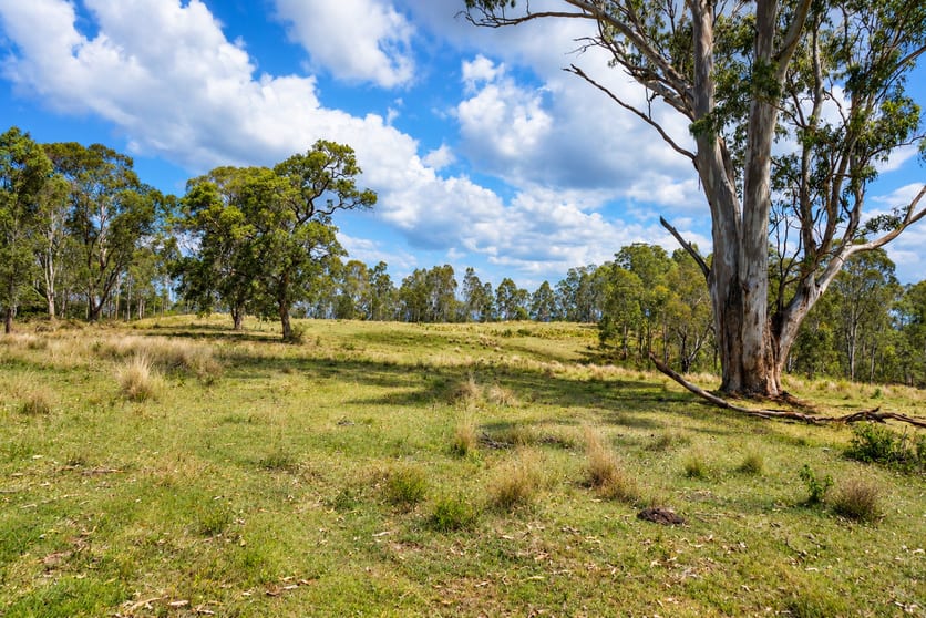 47/ Hogarth Range Road Hogarth Range NSW 2469 - Image 3