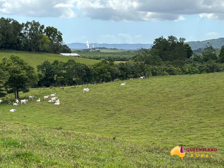 Click to view all images Donkin Road Utchee Creek QLD 4871 - Image 1