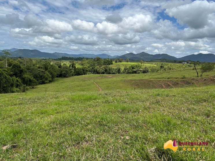 Click to view all images Donkin Road Utchee Creek QLD 4871 - Image 2