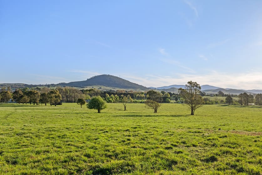 Click to view all images 228 Wallace Street Braidwood NSW 2622 - Image 1